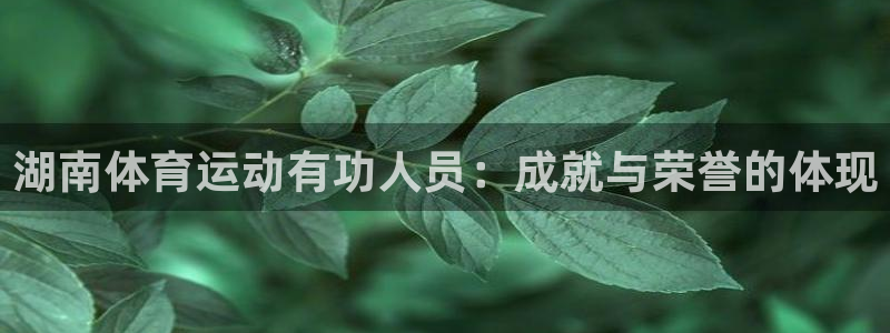 7m体育旧版本：湖南体育运动有功人员：成就与荣誉的体现