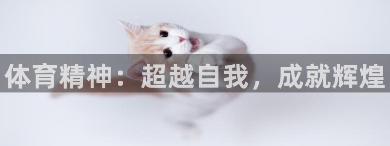 7m体育足球即时比分：体育精神：超越自我，成就辉煌