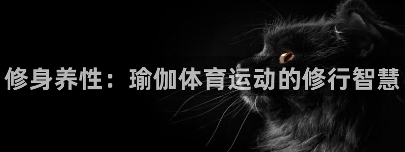 7m体育足球即时比分：修身养性：瑜伽体育运动的修行智慧