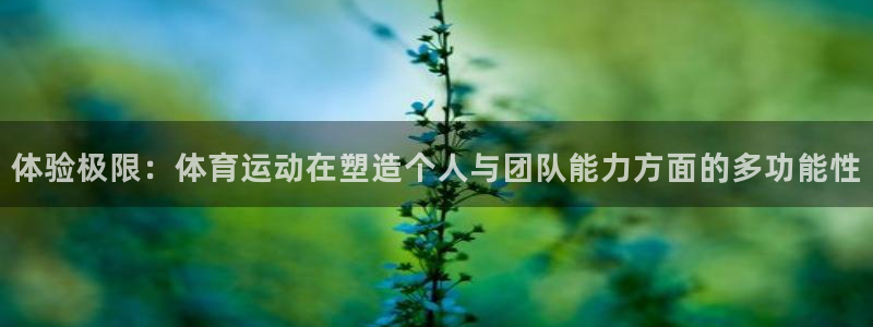7m体育资料库：体验极限：体育运动在塑造个人与团队能力方面的多功能性