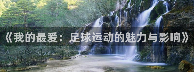7m体育手机版：《我的最爱：足球运动的魅力与影响》