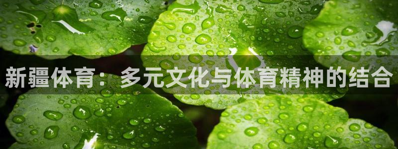 7m体育足球官网：新疆体育：多元文化与体育精神的结合